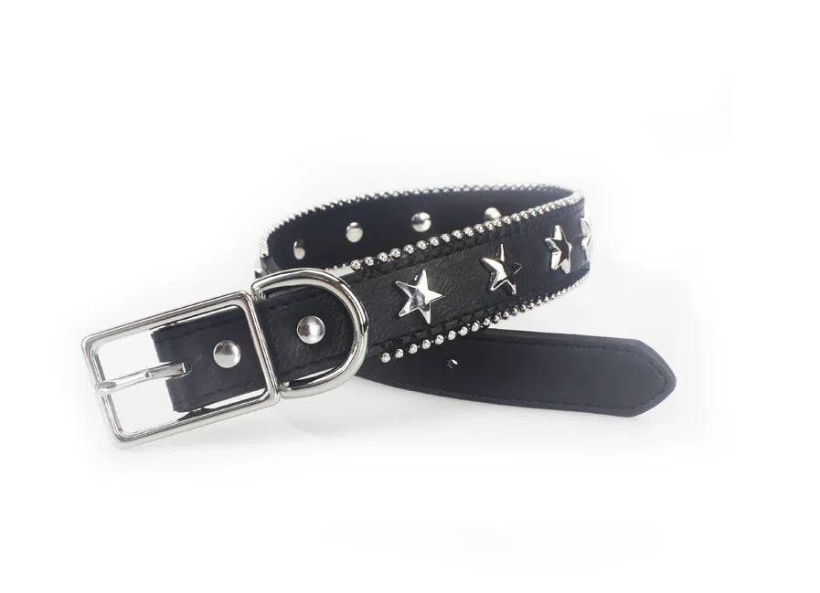 Pawty Like a Rock Star collar and leash set