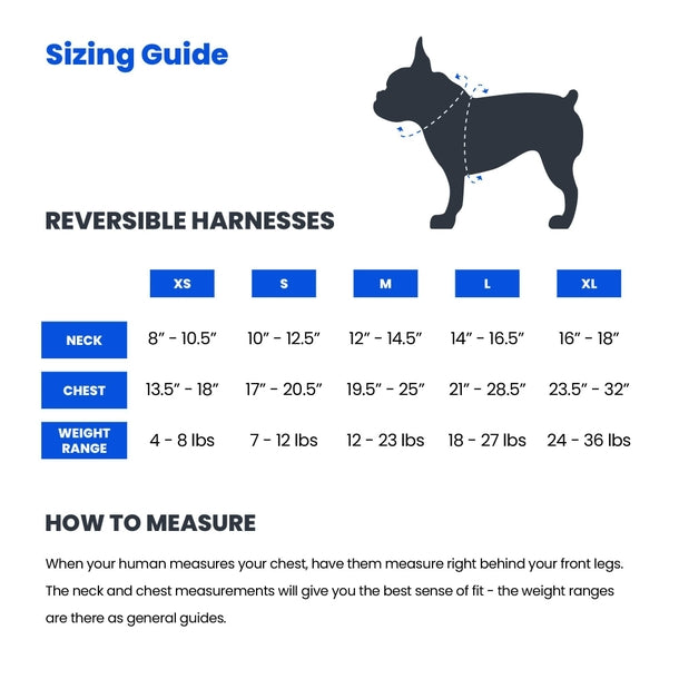Pupcake Reversible Dog Harness